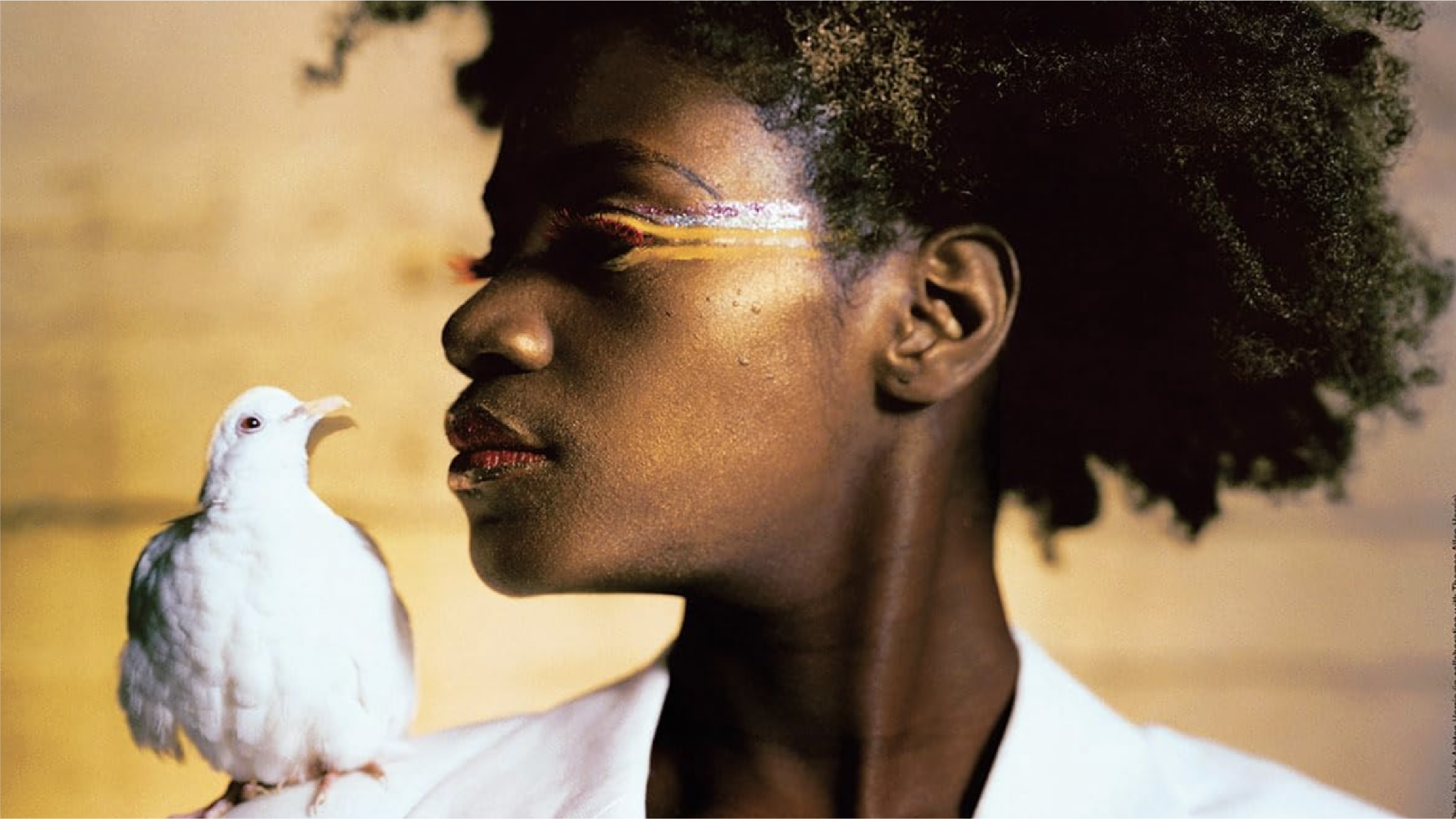 Through a Lens Darkly